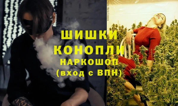 дурь Нея