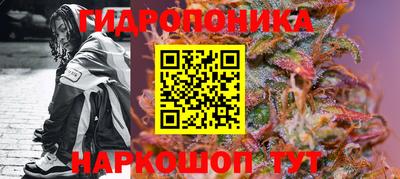 тгк Краснознаменск