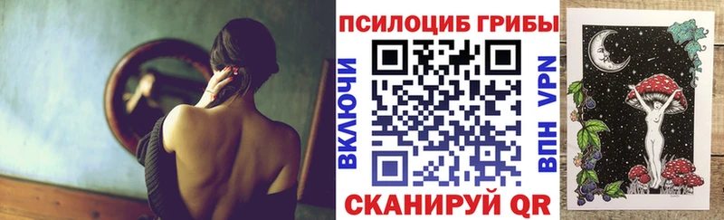 наркота  Красногорск  Псилоцибиновые грибы Cubensis 
