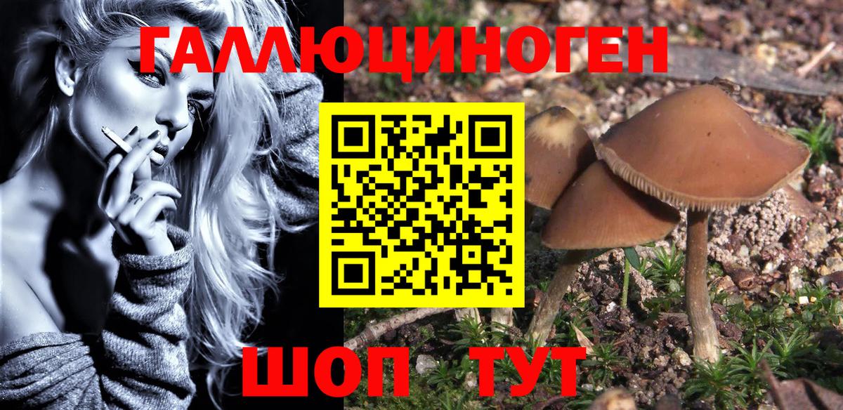 Галлюциногенные грибы MAGIC MUSHROOMS Красногорск