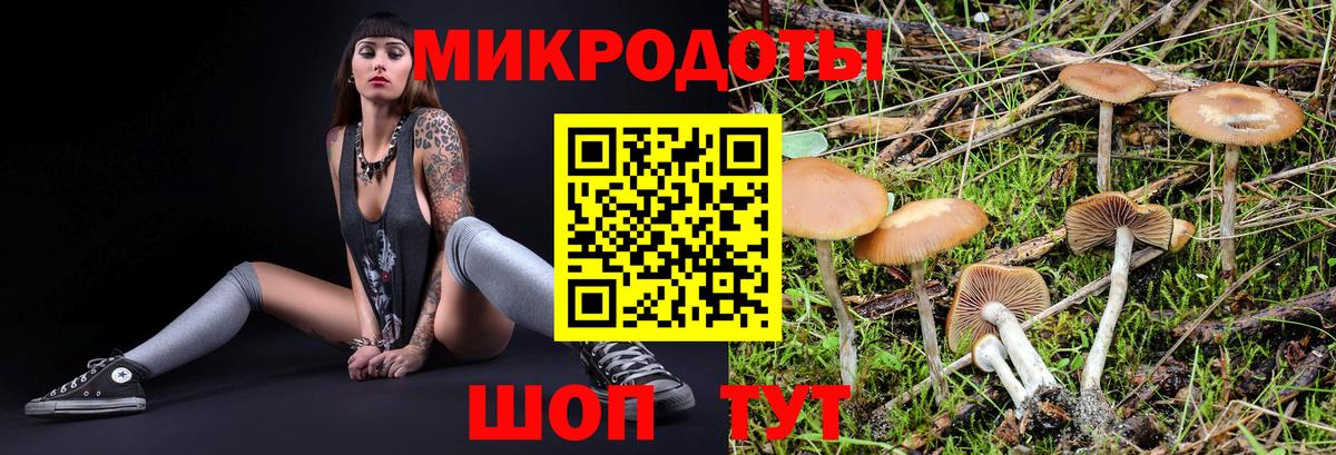 Галлюциногенные грибы Magic Shrooms  Псилоцибиновые грибы Psilocybine cubensis  Красногорск  Вход с VPN 