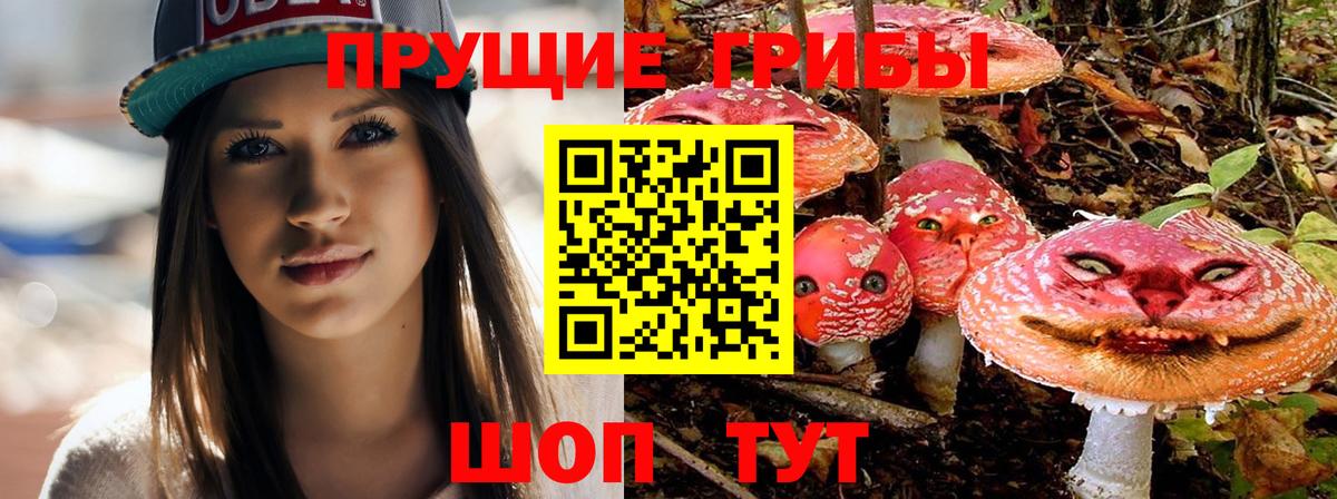 Галлюциногенные грибы Psilocybe Красногорск