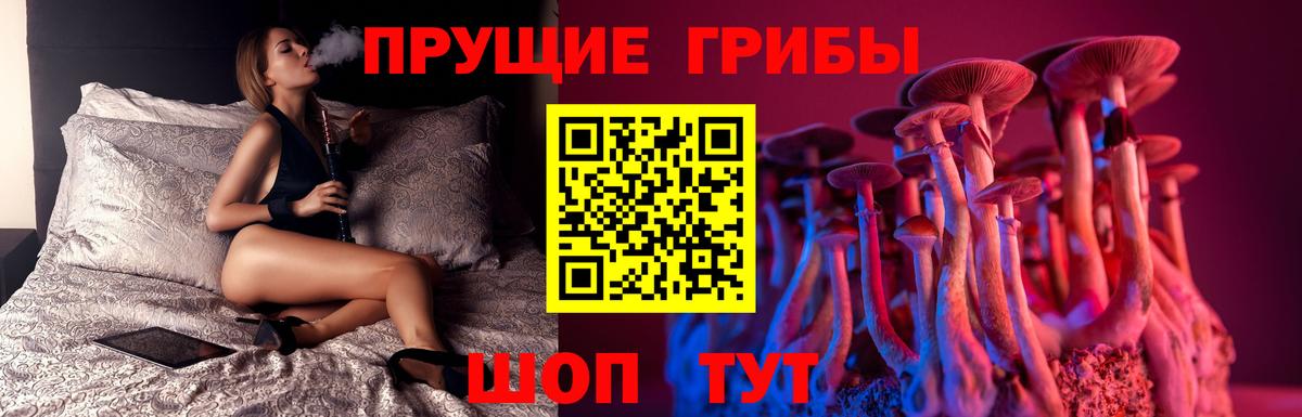 как найти закладки  Красногорск  Галлюциногенные грибы ЛСД 